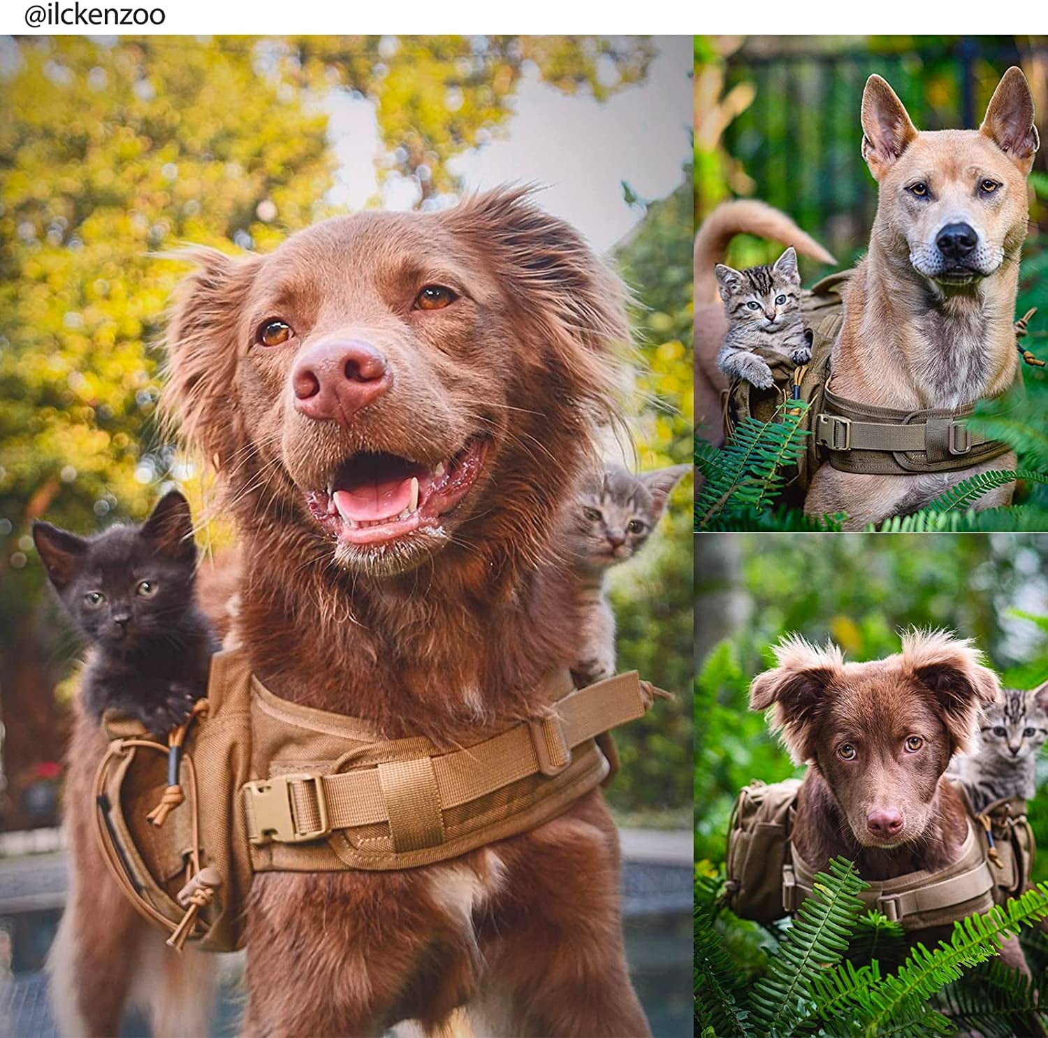 Dog Backpack for Medium & Large Dogs, Nylon Tactical Pet Backpack with Side Pockets