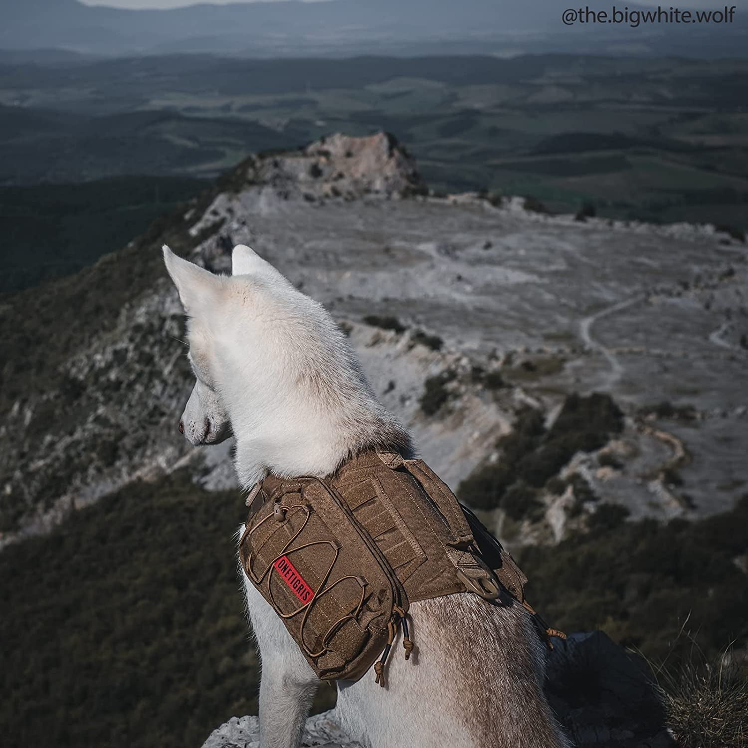 Dog Backpack for Medium & Large Dogs, Nylon Tactical Pet Backpack with Side Pockets